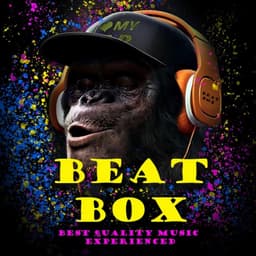 BEAT BOX M