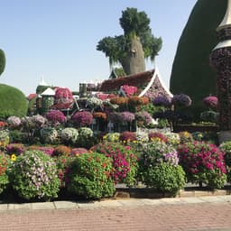 Visiting place in Dubai