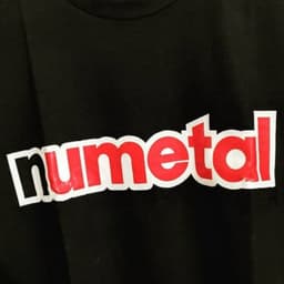Nu-Metal Guy