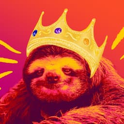 Savvy Sloth